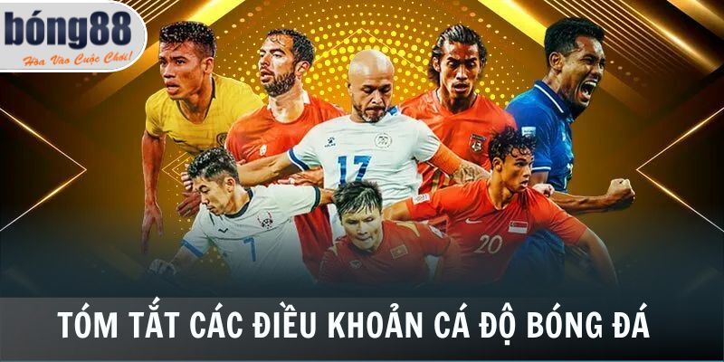 Cá Độ Bóng Đá Bong88 - Kênh Giải Trí Hàng Đầu Châu Á 2025 4 Tóm tắt các điều khoản cá độ bóng đá